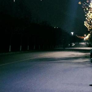 捷克街头钞能力无删减版
